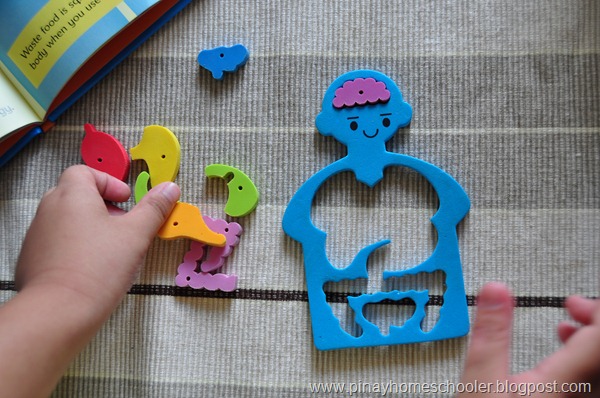 Organs Puzzle And Nomenclature Cards The Homeschooler organs puzzle and nomenclature cards the homeschooler