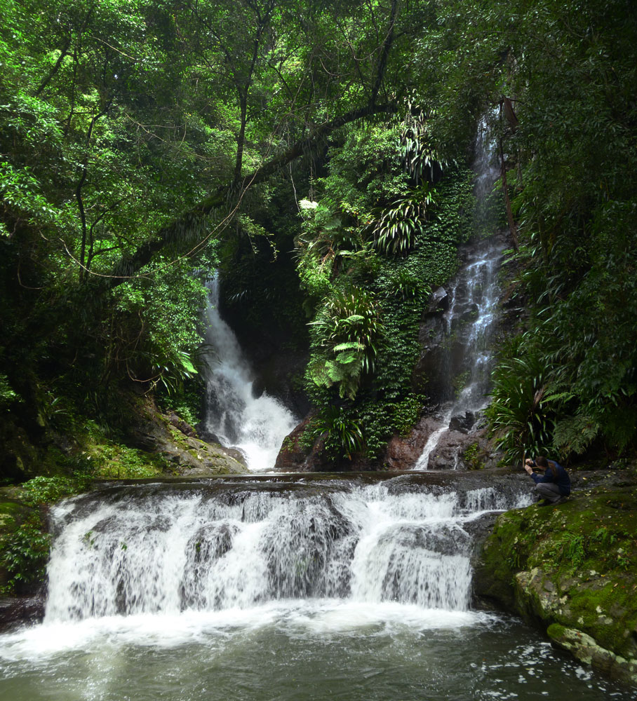 Maz, Toolona Creek and Mount Wanungra, O’Reilly’s