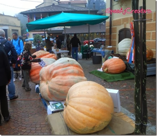 DSCN8776 DSCN8776