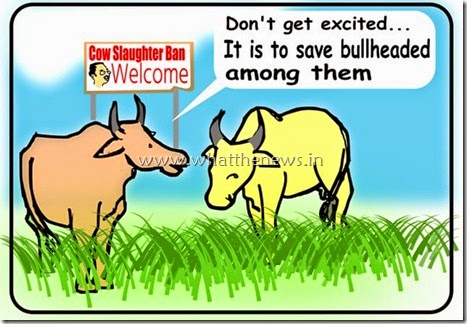 cartoon on cow slaughter ban in Maharashtra