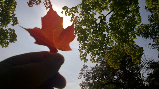 [IMG_00000300%255B4%255D.jpg]