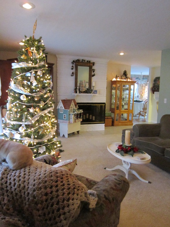 [IMG_0139%255B5%255D.jpg]