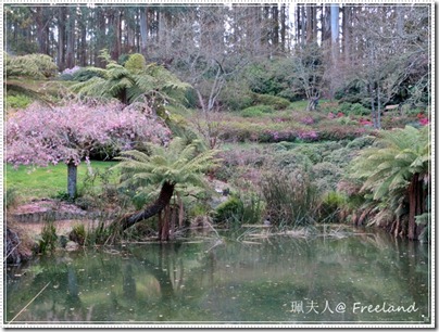 hanami2 hanami2