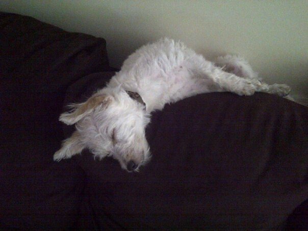 [sleeping%255B2%255D.jpg]