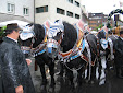 KORNMESSER GARTENERÖFFNUNG MIT AUGUSTINER 2009 015.JPG