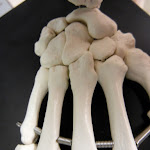 DSCN3679.JPG