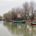 IMG_1581.JPG