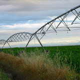 12/07. Impianto di irrigazione.