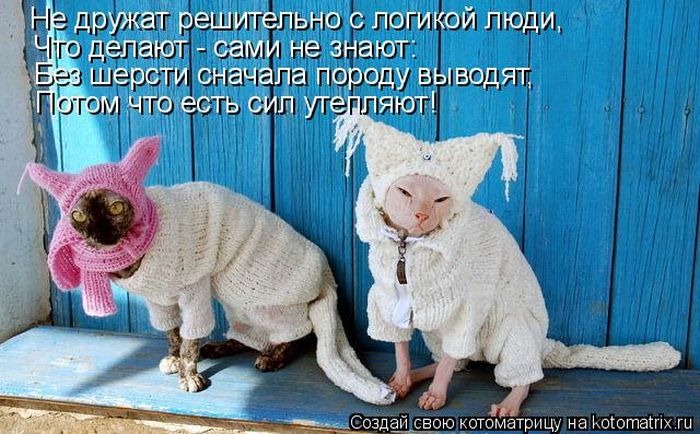 [clip_image012%255B3%255D.jpg]