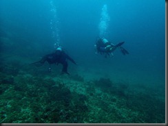 PC - diving PC - diving