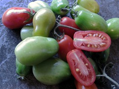 Homegrown San Marzanos