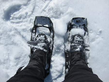 snow shoes