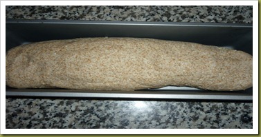 Pane integrale con pasta madre ai semi di sesamo (3)