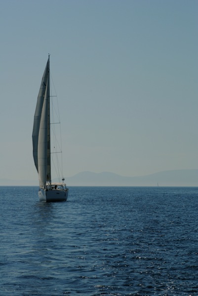 DSC_0474.jpg DSC 0474