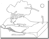 the water cycle