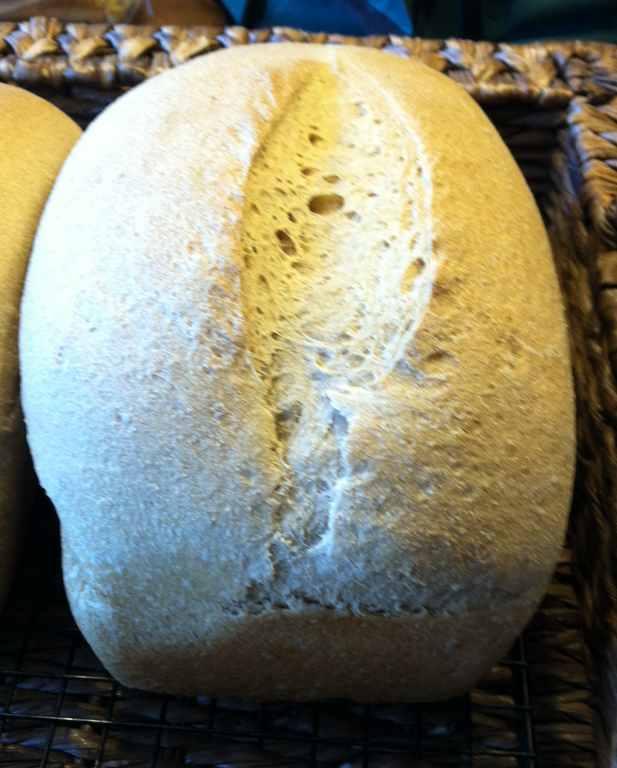[IMG_0872%255B1%255D%255B2%255D.png]