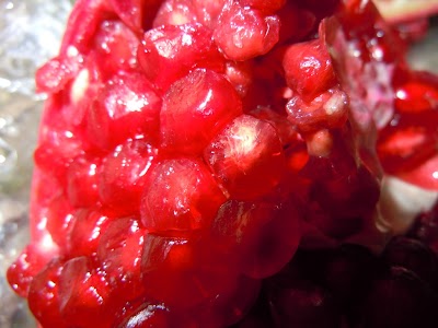 DSCN3899.jpg