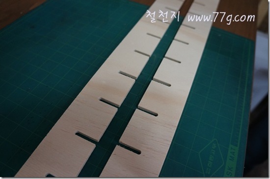 철천지DSC03612-20120619-164553 철천지DSC03612-20120619-164553