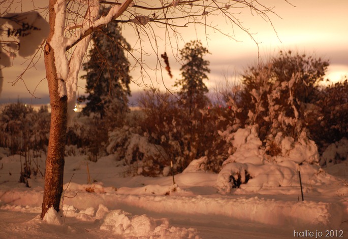 Snow7 Snow7