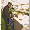 Horticulture 005.jpg