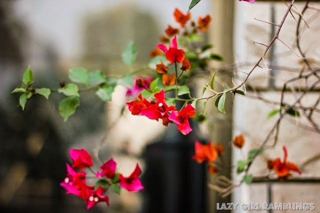 [20131208-13120853_thumb2.jpg]