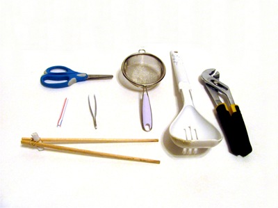 Montessori Tidbits:  Types of bird beaks experiment