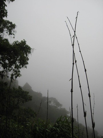 [IMG_14708.jpg]