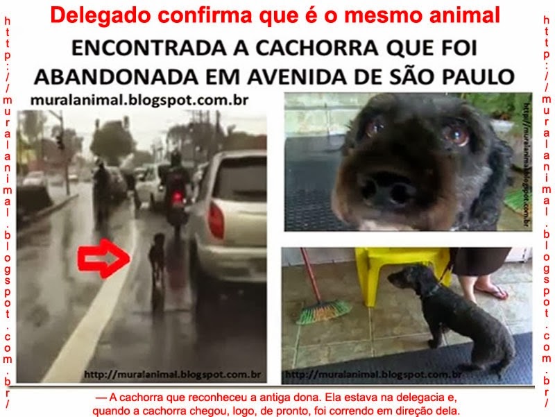 [pretinha-encontrada%255B3%255D.jpg]