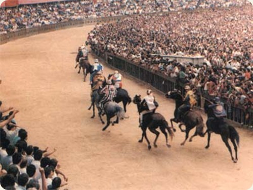 palio_di_siena palio_di_siena
