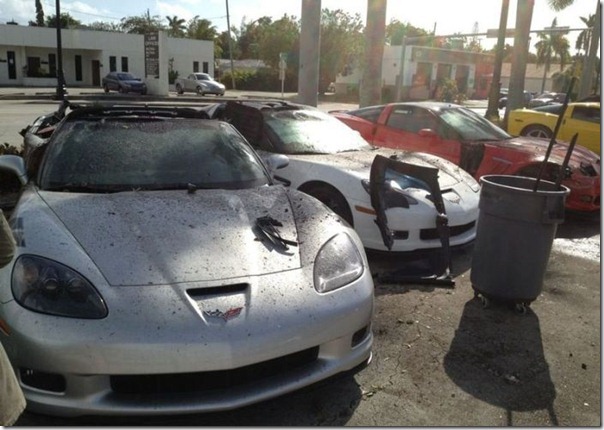 Motorista bebado (5)