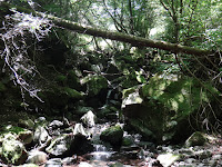 DSC00392.JPG