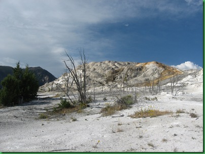 Mammoth Hot Springs Terraces (255)