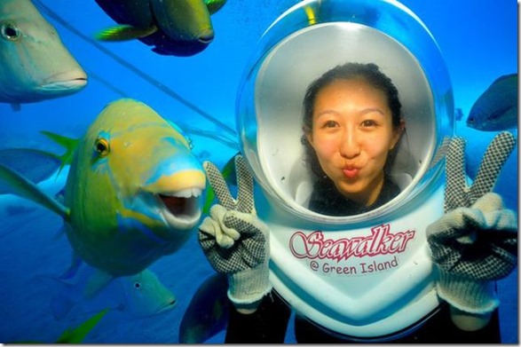 seawalker-photogenic-fish-7