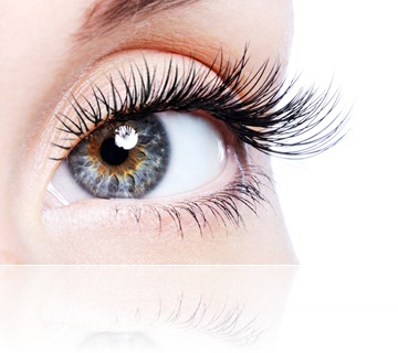 Beauty female eye with curl long false eyelashes