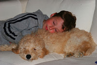 Gorgeousdoodle Sleeping Doodle!