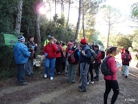 P1100754.JPG Photo