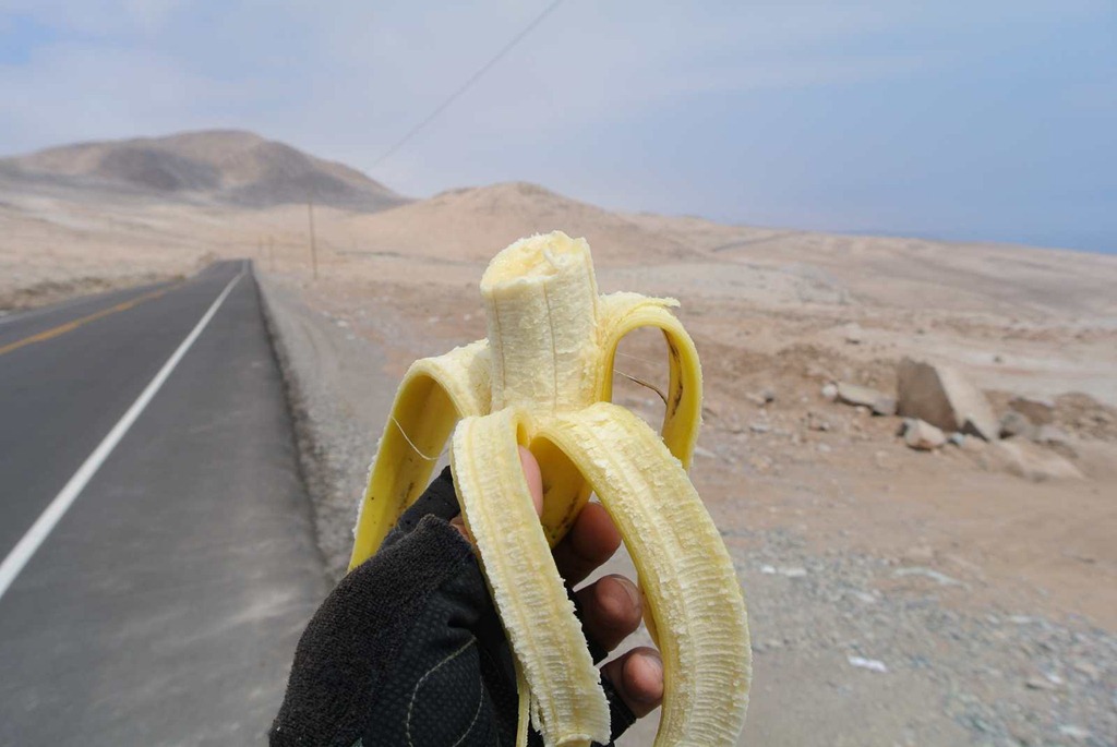 [DSC_72073.jpg]