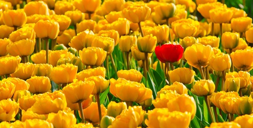 alone-15155_1280 alone-15155_1280