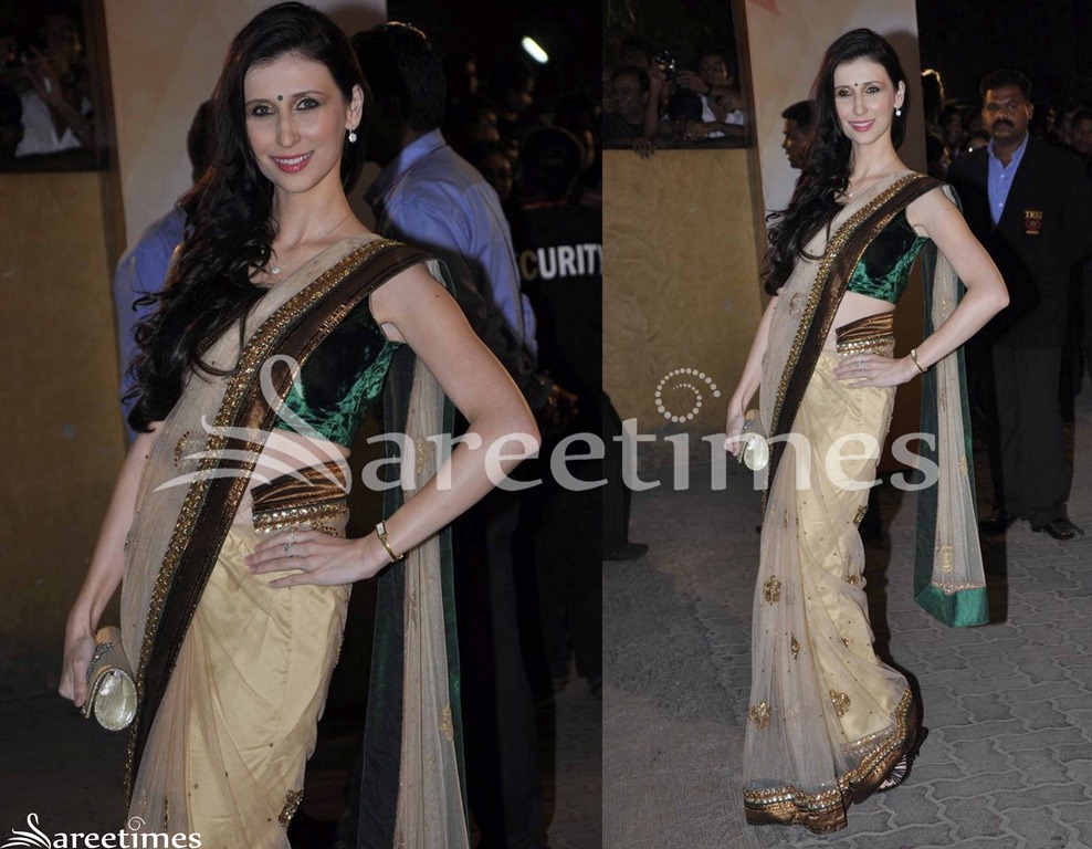 [Cream_Designer_Shimmer_Saree%255B4%255D.jpg]