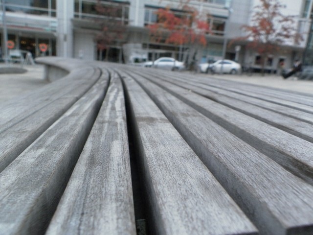 [photo%2520class%2520%252001%255B3%255D.jpg]