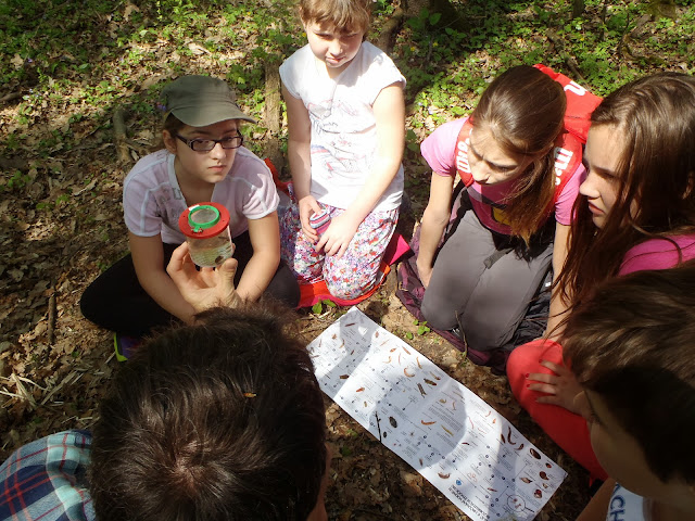 Za poznáním přírody lužní krajiny 12-13 (11).JPG