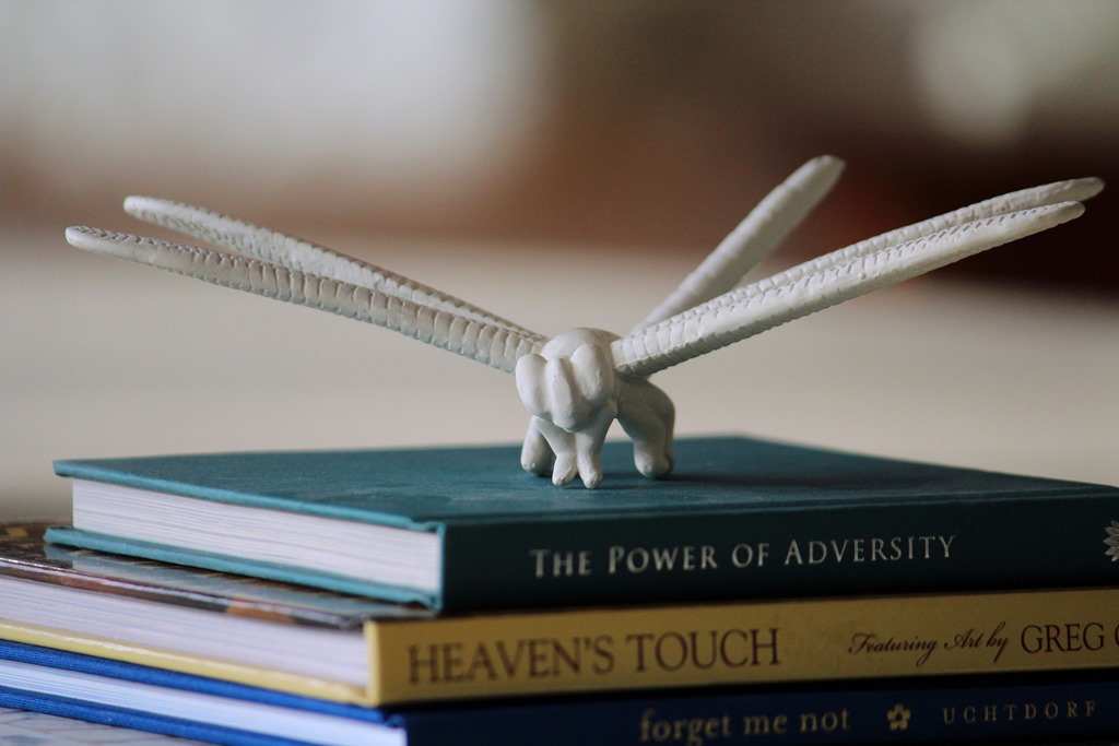 [dragonflybooks2%255B4%255D.jpg]