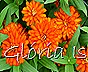 Glória Ishizaka -   Kyoto Botanical Garden 2012 - 83