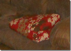 DSCN1767