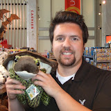 I Like Turtles