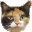 [keiko-blog%255B2%255D.gif]