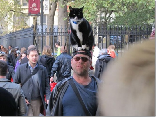 viral-picdump-pics-17