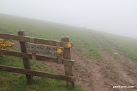 IMG_9261.JPG Photo