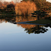 IMG_0894_2.JPG