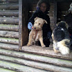 merlin_max_hütte_1.jpg